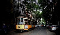 The Trams of Milan