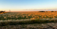 Golden Hour on the Prairie