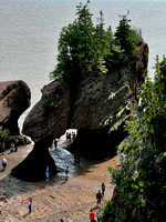 fundy.cmpr - 1